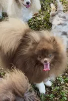 processed/6dda040c-5202-4fb8-b2ac-4b8f551fdd0e/listing/e36c5437-af6a-4b45-bddd-117c2cc4e13e/5df2c1de-7ae2-425a-8f18-ecfbd8a6ec32