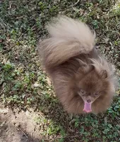 processed/6dda040c-5202-4fb8-b2ac-4b8f551fdd0e/listing/e36c5437-af6a-4b45-bddd-117c2cc4e13e/82d54559-9df3-4a70-baaf-c9fd0849e8b8