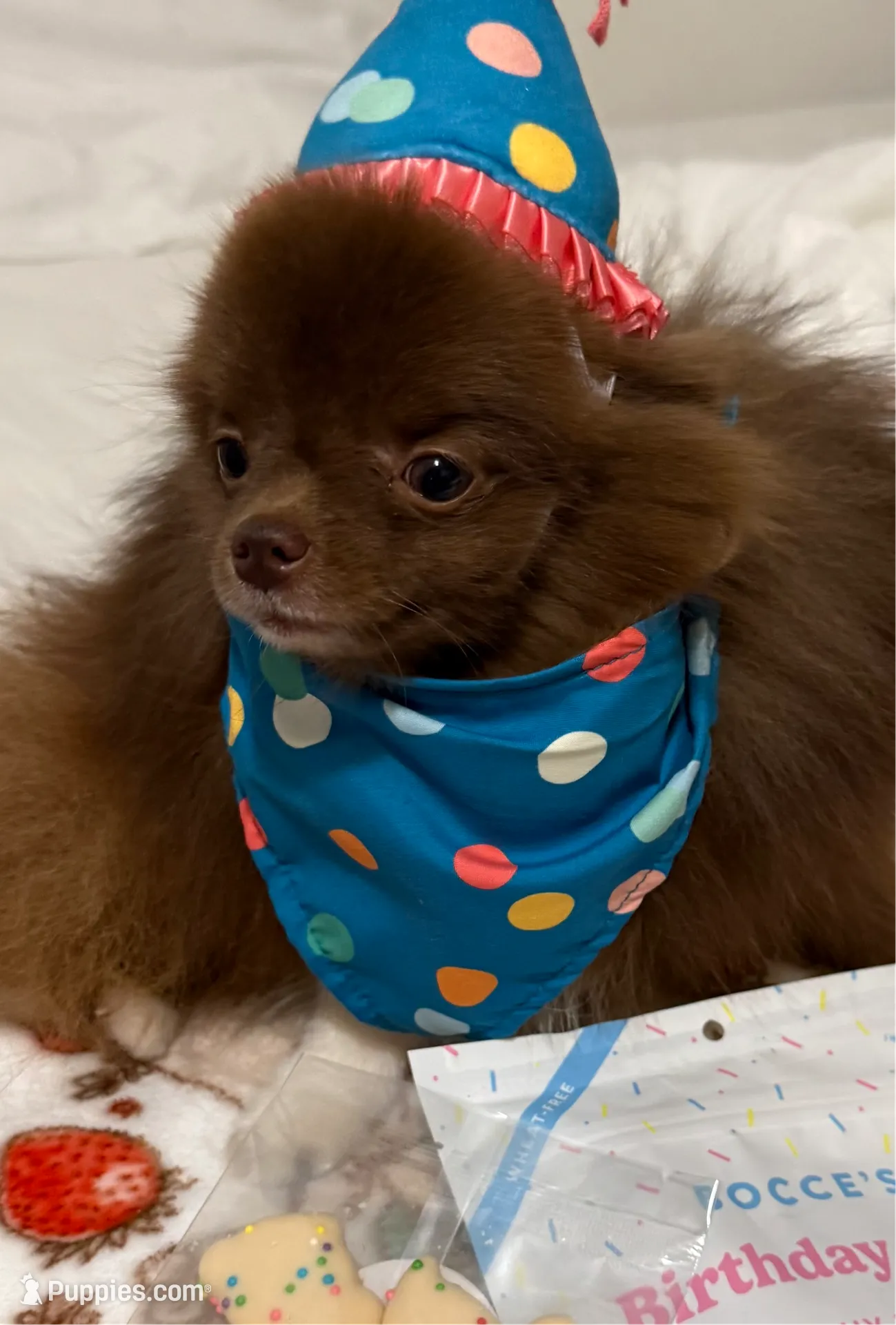 processed/6dda040c-5202-4fb8-b2ac-4b8f551fdd0e/listing/e36c5437-af6a-4b45-bddd-117c2cc4e13e/acbe38db-66c0-4980-a865-2381eb168e4d