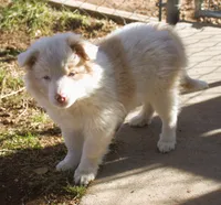 processed/6de5cf87-8cdc-4b3d-8d23-66dccc3dc84f/listing/08998aa7-6c2a-447c-b148-f1d01683f79a/2846a1be-a01e-4d00-9c93-fe3b56122830