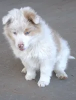 processed/6de5cf87-8cdc-4b3d-8d23-66dccc3dc84f/listing/08998aa7-6c2a-447c-b148-f1d01683f79a/29af75e7-4050-4dc1-bab1-4e6183c39693