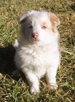 processed/6de5cf87-8cdc-4b3d-8d23-66dccc3dc84f/listing/08998aa7-6c2a-447c-b148-f1d01683f79a/5a7333cf-e1b4-4e86-90d7-55aa9622fab4