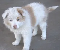 processed/6de5cf87-8cdc-4b3d-8d23-66dccc3dc84f/listing/08998aa7-6c2a-447c-b148-f1d01683f79a/7d2aebc5-dbbe-4359-a604-f9a42c2d81df