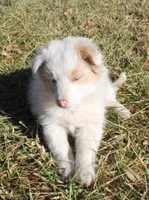 processed/6de5cf87-8cdc-4b3d-8d23-66dccc3dc84f/listing/08998aa7-6c2a-447c-b148-f1d01683f79a/906b188c-1459-47f6-b6db-30e063830e68