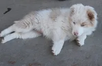 processed/6de5cf87-8cdc-4b3d-8d23-66dccc3dc84f/listing/08998aa7-6c2a-447c-b148-f1d01683f79a/cd467399-1608-41ef-9b07-31adee204fb1