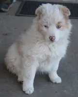 processed/6de5cf87-8cdc-4b3d-8d23-66dccc3dc84f/listing/08998aa7-6c2a-447c-b148-f1d01683f79a/e3906ae6-2cbd-4e62-be04-d78246ca84ac