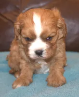 processed/6de5cf87-8cdc-4b3d-8d23-66dccc3dc84f/listing/d9f52ebf-fd2a-4c13-a5ad-5dd80bb3f637/5736dbe3-0e89-448d-b664-e5c6eded5e74