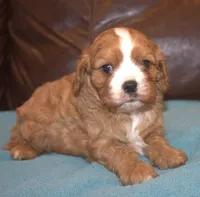 processed/6de5cf87-8cdc-4b3d-8d23-66dccc3dc84f/listing/d9f52ebf-fd2a-4c13-a5ad-5dd80bb3f637/7a53a8ce-2c94-4111-922c-a03b0b0d228c