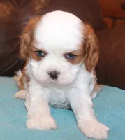 processed/6de5cf87-8cdc-4b3d-8d23-66dccc3dc84f/listing/ecdcd94f-f92a-4f4e-993f-4b0dafda7665/18b695bb-876a-4f2e-8eff-566e53f2669d