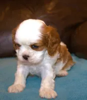 processed/6de5cf87-8cdc-4b3d-8d23-66dccc3dc84f/listing/ecdcd94f-f92a-4f4e-993f-4b0dafda7665/2d4a3df7-baa9-4ce7-882f-8af340816ede