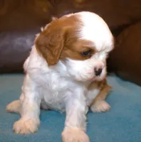 processed/6de5cf87-8cdc-4b3d-8d23-66dccc3dc84f/listing/ecdcd94f-f92a-4f4e-993f-4b0dafda7665/49692e20-b7e1-4421-b83a-12cff5a0345c