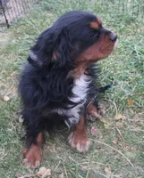 processed/6de5cf87-8cdc-4b3d-8d23-66dccc3dc84f/listing/ecdcd94f-f92a-4f4e-993f-4b0dafda7665/b8414185-4ba3-426e-bff0-c4fe91a09949