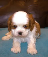 processed/6de5cf87-8cdc-4b3d-8d23-66dccc3dc84f/listing/ecdcd94f-f92a-4f4e-993f-4b0dafda7665/cd2806a8-7d09-4272-aa79-6991f95c59d8