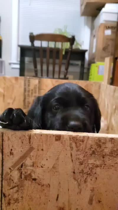 Facility video