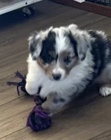 processed/6dffa96b-62a9-430b-8b34-32a8a6292c17/listing/7f4fd681-c7fb-49be-b6cd-ae87e33a09e2/3593f5b2-49fb-4c52-b5c0-a683d159bc3e