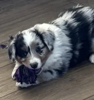 processed/6dffa96b-62a9-430b-8b34-32a8a6292c17/listing/7f4fd681-c7fb-49be-b6cd-ae87e33a09e2/3e3b9a86-56cb-4e4f-9a49-46d8a28008de