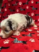 processed/6dffa96b-62a9-430b-8b34-32a8a6292c17/listing/7f4fd681-c7fb-49be-b6cd-ae87e33a09e2/63f8aa85-5c3b-4301-8900-44ddfa8357e4