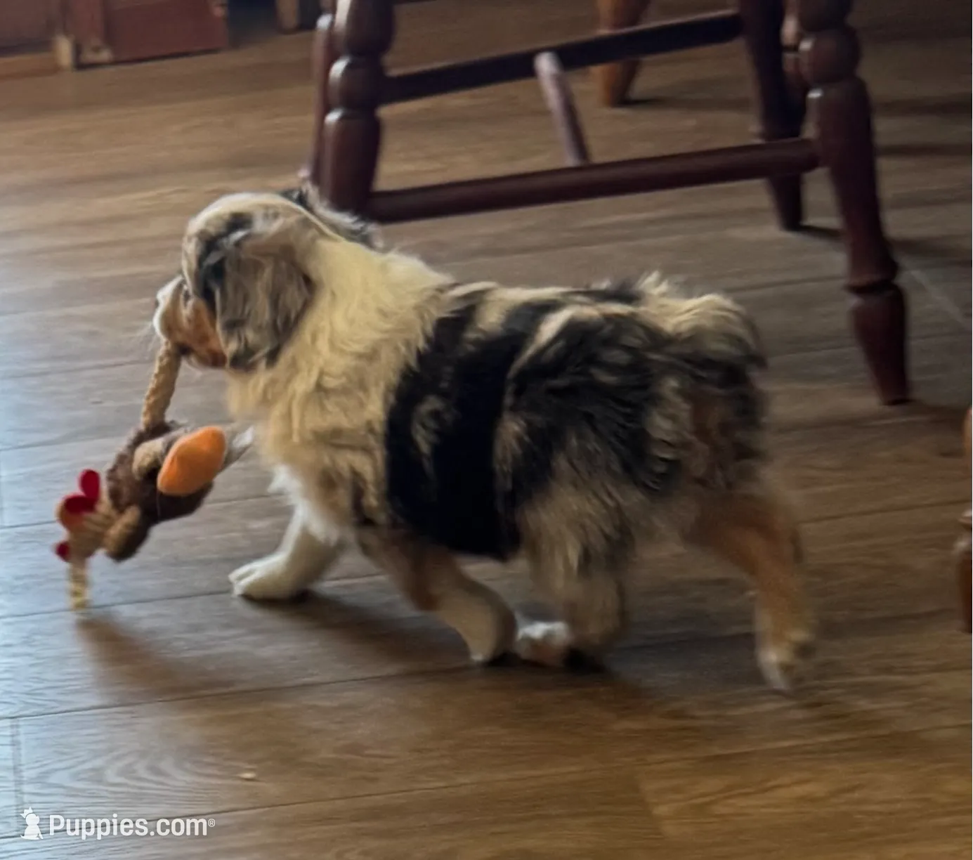 processed/6dffa96b-62a9-430b-8b34-32a8a6292c17/listing/7f4fd681-c7fb-49be-b6cd-ae87e33a09e2/7946856c-c0fc-4b86-b108-fa2c313c6421