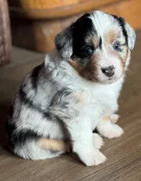 processed/6dffa96b-62a9-430b-8b34-32a8a6292c17/listing/7f4fd681-c7fb-49be-b6cd-ae87e33a09e2/b0b41003-f72e-4189-82d5-00793095bda6