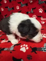 processed/6dffa96b-62a9-430b-8b34-32a8a6292c17/listing/9b5b6bbe-1598-4e05-989a-308416af22ab/249792df-9424-49b4-993b-0d56b5e7fd65