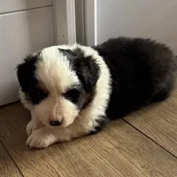 processed/6dffa96b-62a9-430b-8b34-32a8a6292c17/listing/9b5b6bbe-1598-4e05-989a-308416af22ab/572e2c92-a0b0-43c3-a6da-e807d2762f74