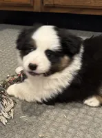 processed/6dffa96b-62a9-430b-8b34-32a8a6292c17/listing/9b5b6bbe-1598-4e05-989a-308416af22ab/8220d812-585b-4542-a51e-fbdf61762eb0