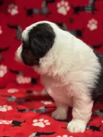 processed/6dffa96b-62a9-430b-8b34-32a8a6292c17/listing/9b5b6bbe-1598-4e05-989a-308416af22ab/9a6a2e2f-1ab1-414d-a872-764504b9e2b7