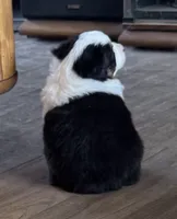 processed/6dffa96b-62a9-430b-8b34-32a8a6292c17/listing/9b5b6bbe-1598-4e05-989a-308416af22ab/b0119f1d-3fd7-48b0-a1d3-84ad5bb22627