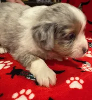 processed/6dffa96b-62a9-430b-8b34-32a8a6292c17/listing/a73c17f5-6ffa-4c47-b715-850c7e5f8222/1a01d81d-9d87-416c-b7c0-6ad2316838b1