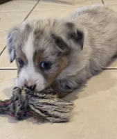 processed/6dffa96b-62a9-430b-8b34-32a8a6292c17/listing/a73c17f5-6ffa-4c47-b715-850c7e5f8222/3268518c-a7de-45c6-bbc1-032bb21d45a2