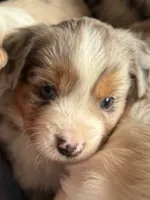 processed/6dffa96b-62a9-430b-8b34-32a8a6292c17/listing/a73c17f5-6ffa-4c47-b715-850c7e5f8222/727af284-fe59-4405-b39e-4abd09c1ac63