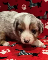 processed/6dffa96b-62a9-430b-8b34-32a8a6292c17/listing/a73c17f5-6ffa-4c47-b715-850c7e5f8222/7561df50-ed49-4f42-a3ad-f910d11e8a9f