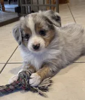 processed/6dffa96b-62a9-430b-8b34-32a8a6292c17/listing/a73c17f5-6ffa-4c47-b715-850c7e5f8222/87f280cf-22ee-4488-96f2-0bf5be0b0ca3