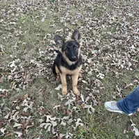 processed/6e05543e-325e-4636-98c9-2d50ed036119/facility/0256026a-2b81-430d-a78e-6c57ed4028da