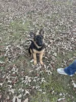 processed/6e05543e-325e-4636-98c9-2d50ed036119/facility/0256026a-2b81-430d-a78e-6c57ed4028da