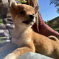 processed/6e05543e-325e-4636-98c9-2d50ed036119/facility/04598c51-83ea-4dce-9bf7-1f5d03c28c78