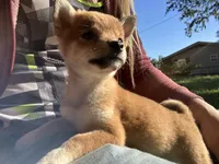 processed/6e05543e-325e-4636-98c9-2d50ed036119/facility/04598c51-83ea-4dce-9bf7-1f5d03c28c78