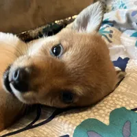 processed/6e05543e-325e-4636-98c9-2d50ed036119/facility/3fab9f01-8a41-4289-bca7-8b0b29b819ce