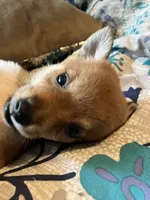 processed/6e05543e-325e-4636-98c9-2d50ed036119/facility/3fab9f01-8a41-4289-bca7-8b0b29b819ce