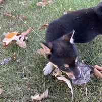 processed/6e05543e-325e-4636-98c9-2d50ed036119/facility/539fe09c-c6be-4648-8b8e-76d14a0e02e4