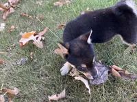 processed/6e05543e-325e-4636-98c9-2d50ed036119/facility/539fe09c-c6be-4648-8b8e-76d14a0e02e4