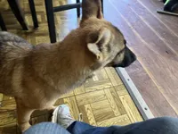 processed/6e05543e-325e-4636-98c9-2d50ed036119/facility/7d0c0e01-91de-4366-a00b-937c57499b31