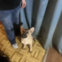 processed/6e05543e-325e-4636-98c9-2d50ed036119/facility/a60296cd-7b41-426d-84cd-cd8f50c8d8a7