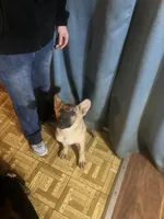 processed/6e05543e-325e-4636-98c9-2d50ed036119/facility/a60296cd-7b41-426d-84cd-cd8f50c8d8a7