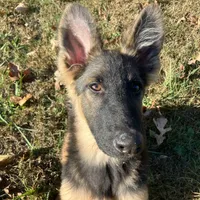 processed/6e05543e-325e-4636-98c9-2d50ed036119/facility/a7f0b2d4-6168-45e7-a258-8b64dec7cd04