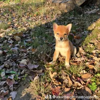 processed/6e05543e-325e-4636-98c9-2d50ed036119/facility/e1dab549-954f-4c2f-8464-0905580ceaa1