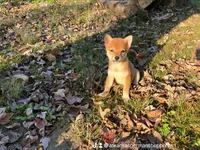 processed/6e05543e-325e-4636-98c9-2d50ed036119/facility/e1dab549-954f-4c2f-8464-0905580ceaa1