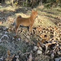 processed/6e05543e-325e-4636-98c9-2d50ed036119/facility/e83b0459-f3b6-4052-bbcd-bdc4b71b55f0