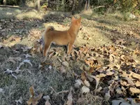 processed/6e05543e-325e-4636-98c9-2d50ed036119/facility/e83b0459-f3b6-4052-bbcd-bdc4b71b55f0