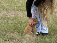 processed/6e05543e-325e-4636-98c9-2d50ed036119/listing/2797c459-a2a3-4835-a1ed-5f912b78d510/40f11bbb-678b-46bf-b92b-dd7304026f5c